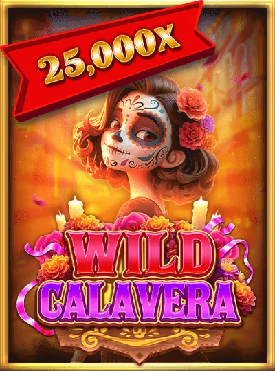 5776bet